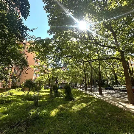 Avenue - Center * Kŭrdzhali