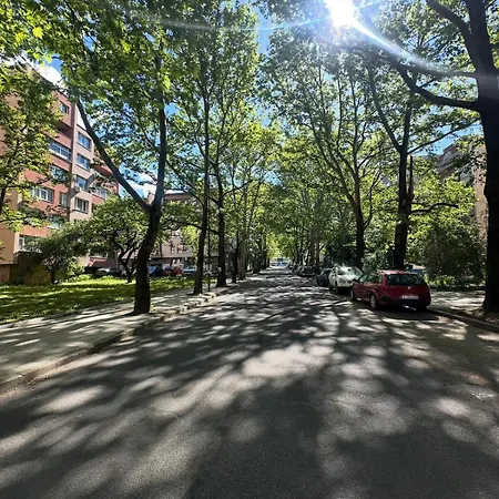 Avenue - Center Daire *